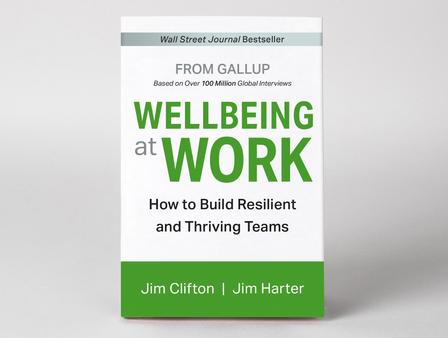 Front cover of Wellbeing at Work.